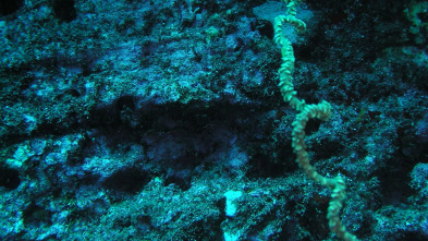 Lugares salvajes de...: Las joyas del parque Tierra de Cañones