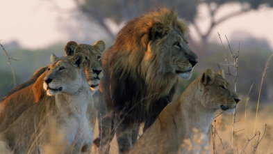 Imagen de Savage Kingdom: La caída de la reina - 5