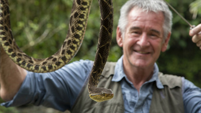 Wild Centroamérica 