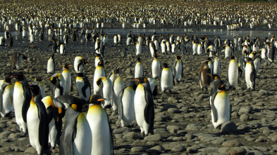 Imagen de Islas gélidas  - 5