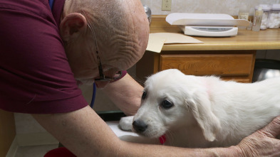Imagen de El increíble doctor Pol: ¡Descomunal, Pol! - 4