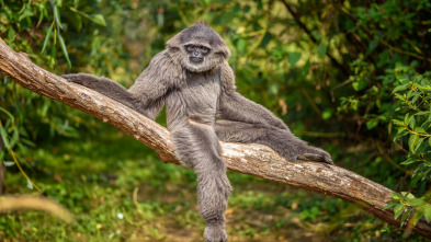 Imagen de Los secretos naturales...: Los más extraños de la naturaleza - 4