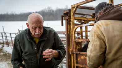 Imagen de El increíble doctor Pol: Cachorritos temblorosos - 5