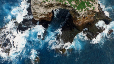 Imagen de Pristine Seas: Protegiendo los mares - 6
