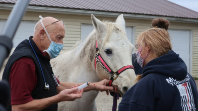 Imagen de El increíble doctor Pol: A punto de reventar - 3