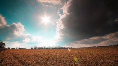 Imagen de El increíble doctor Pol: El ternero valiente - 5