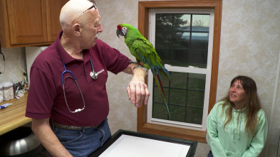 Imagen de El increíble doctor Pol  - 3