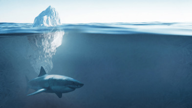 Imagen de Tiburones bajo cero - 5