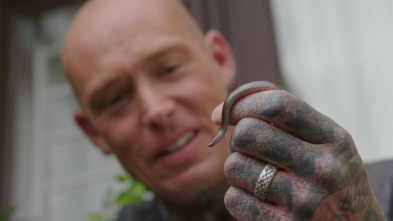 Imagen de Serpientes en la ciudad: Krait mortal - 4