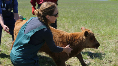Imagen de Una veterinaria...: Mantener vivo el lado salvaje - 4
