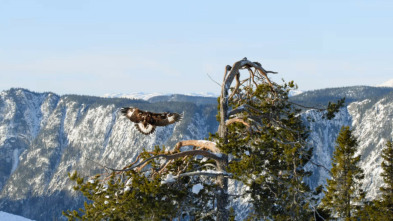 Imagen de Lugares salvajes de...: El poder del invierno - 4