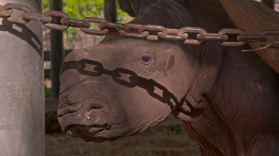 Los secretos del zoo:...: Un asunto de familia