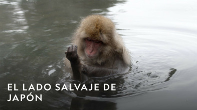 Imagen de El lado salvaje de...: Rompiendo el hielo - 4