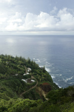 Imagen de Los tiburones de las islas Pitcairn - 4