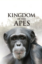 El reino de los simios: Pelea de reyes