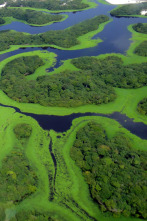 Amazonía - Paraíso depredador
