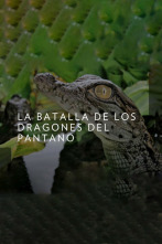 La batalla de los dragones del pantano