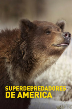 Imagen de Superdepredadores de América - 4