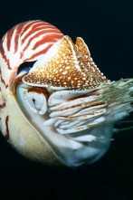 Imagen de Wild Filipinas  - 11