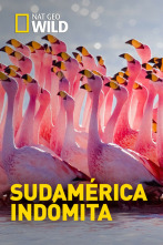 Imagen de Sudamérica indómita - 4