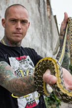 Serpientes en la ciudad: Tormenta de serpientes