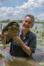 Wild Centroamérica: Guatemala