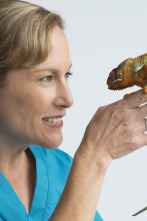 Imagen de Doctora K: animales exóticos: ¡mujeres maravillosas! - 6