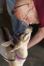 Imagen de El increíble doctor Pol: ¡Descomunal, Pol! - 3