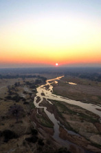 Imagen de Dinastía de león - 3