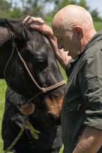 Imagen de El increíble doctor Pol  - 2