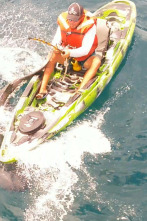 Imagen de Tiburones que se lo comían todo - 4