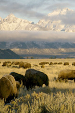 Imagen de Parques Nacionales de...: Badlands - 3