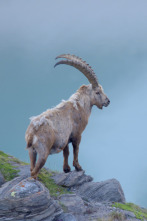 Imagen de El patrimonio natural de Austria  - 4
