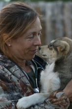 Imagen de Especial Una veterinaria todoterreno  - 4