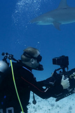 Imagen de Tiburones vs. Ross Edgley - 2
