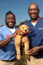 Critter fixers:...: Veterinario por un día