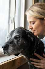 Imagen de Veterinarios de... (T3): Es difícil despedirse de la cabra - 3