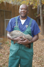 Imagen de Critter fixers:...: Piel de gallina - 3