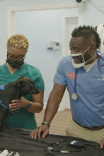 Imagen de Critter Fixers: ¡Que suenen los ladridos! - 2