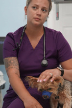 Imagen de Critter fixers:...: Aquí los tratamos a todos - 3