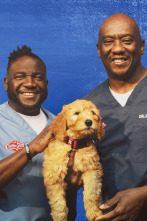 Imagen de Critter fixers:...: Peludos, familia, amigos - 4