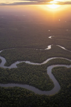 Imagen de Amazonia americana: Ríos secretos - 2