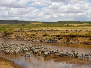 El río más sangriento de África