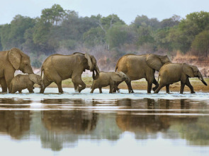 Imagen de Los cerebros y bebés más raros del mundo  - 3
