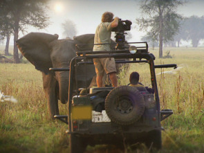 Imagen de La guerra de los elefantes - 1