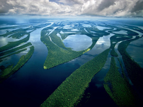 Imagen de Amazonía: Paraíso depredador - 1