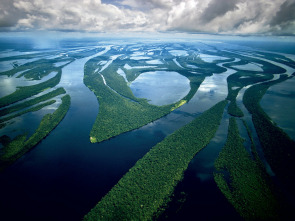 Amazonía - Batalla en los árboles