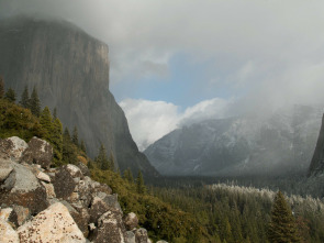 Los grandes parques de...: Yellowstone