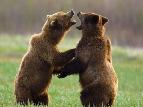 Imagen de Instintos letales: Nacido para correr - 1