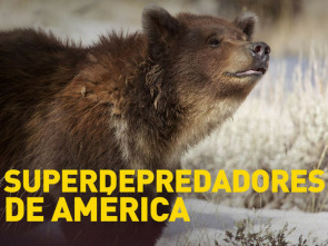 Imagen de Superdepredadores de América - 3